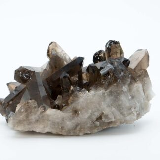 Smokey Quartz