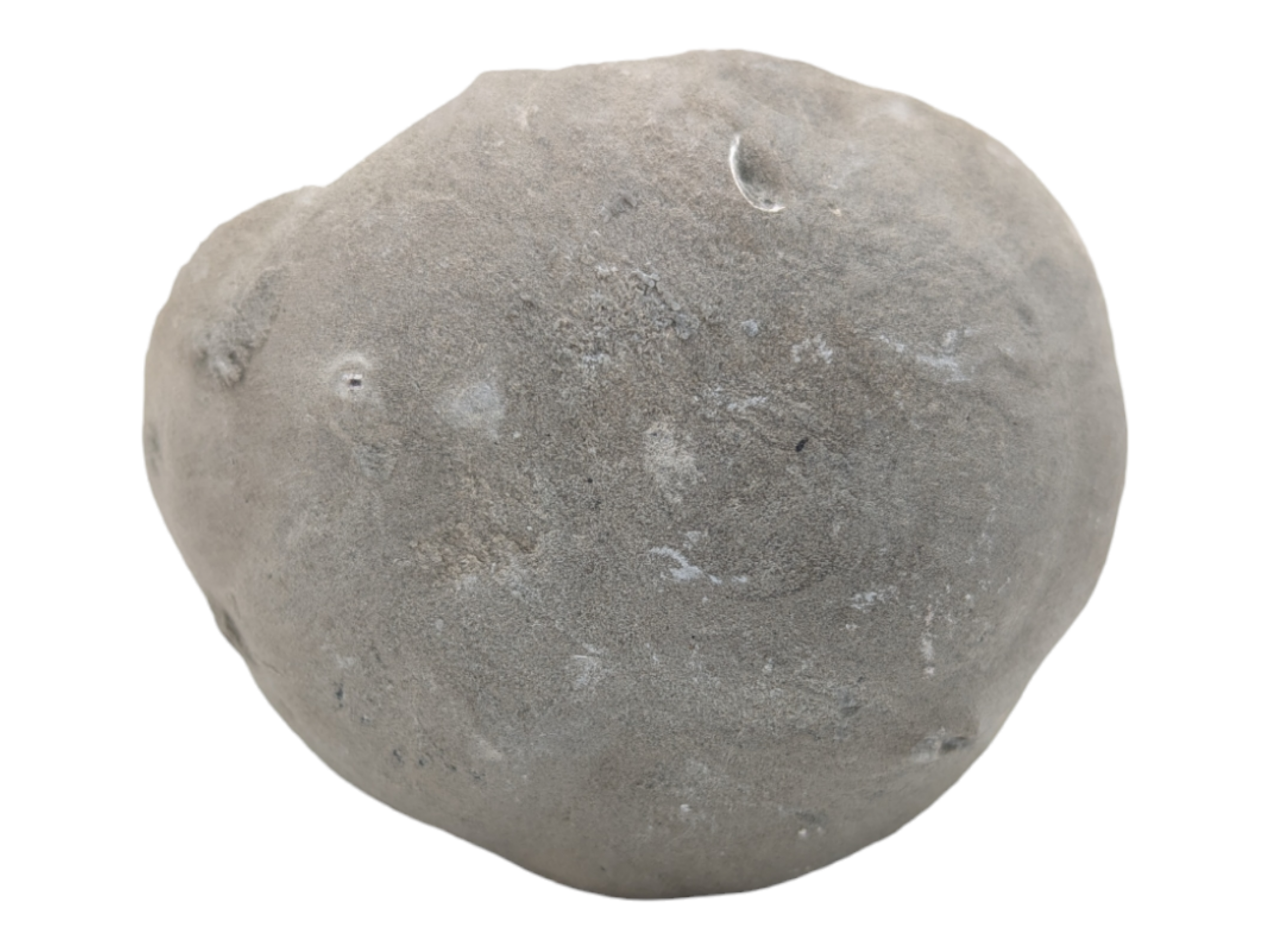 Septarian Geode – Open Half - Image 3