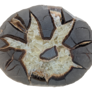 Septarian Geode – Open Half