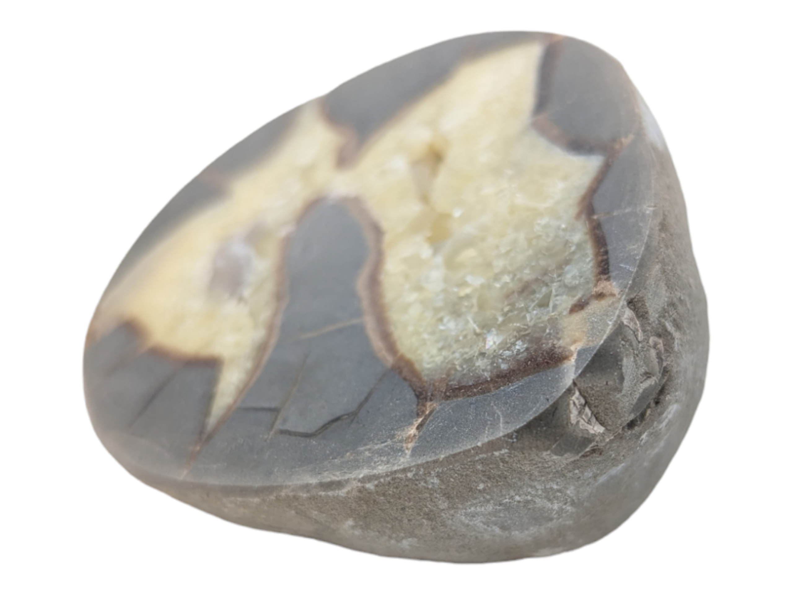 Septarian Geode - Open Half - Image 2