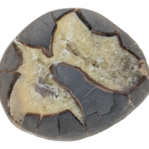 Septarian Geode - Open Half
