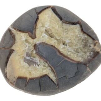 Septarian Geode - Open Half