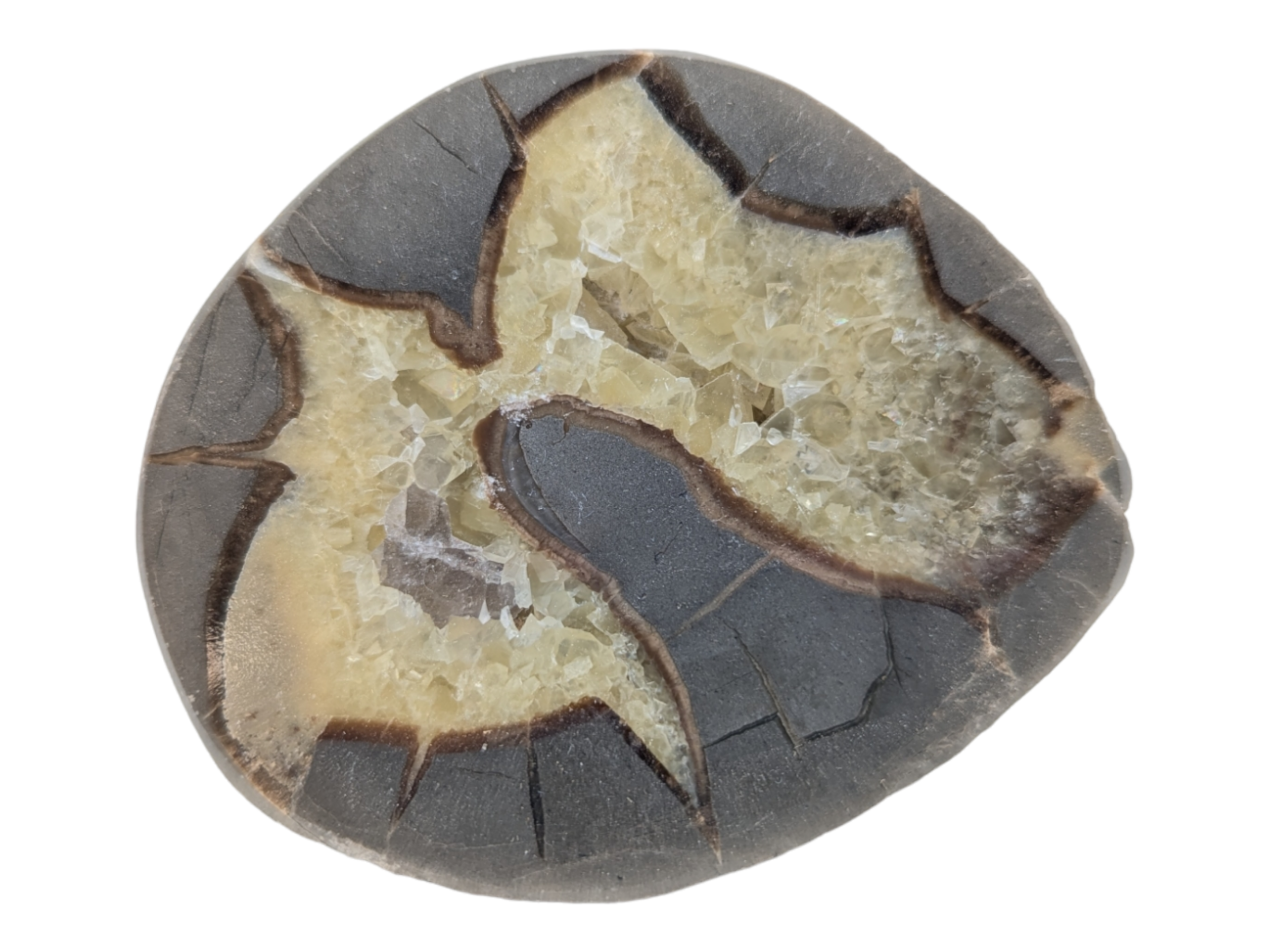 Septarian Geode - Open Half