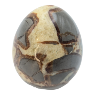 Utah Septarian Nodules Stone Egg