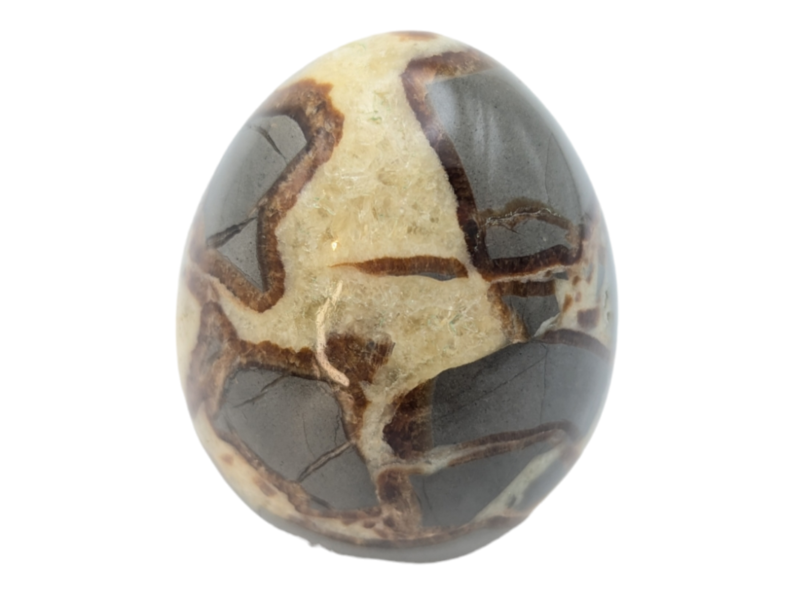 Utah Septarian Nodules Stone Egg
