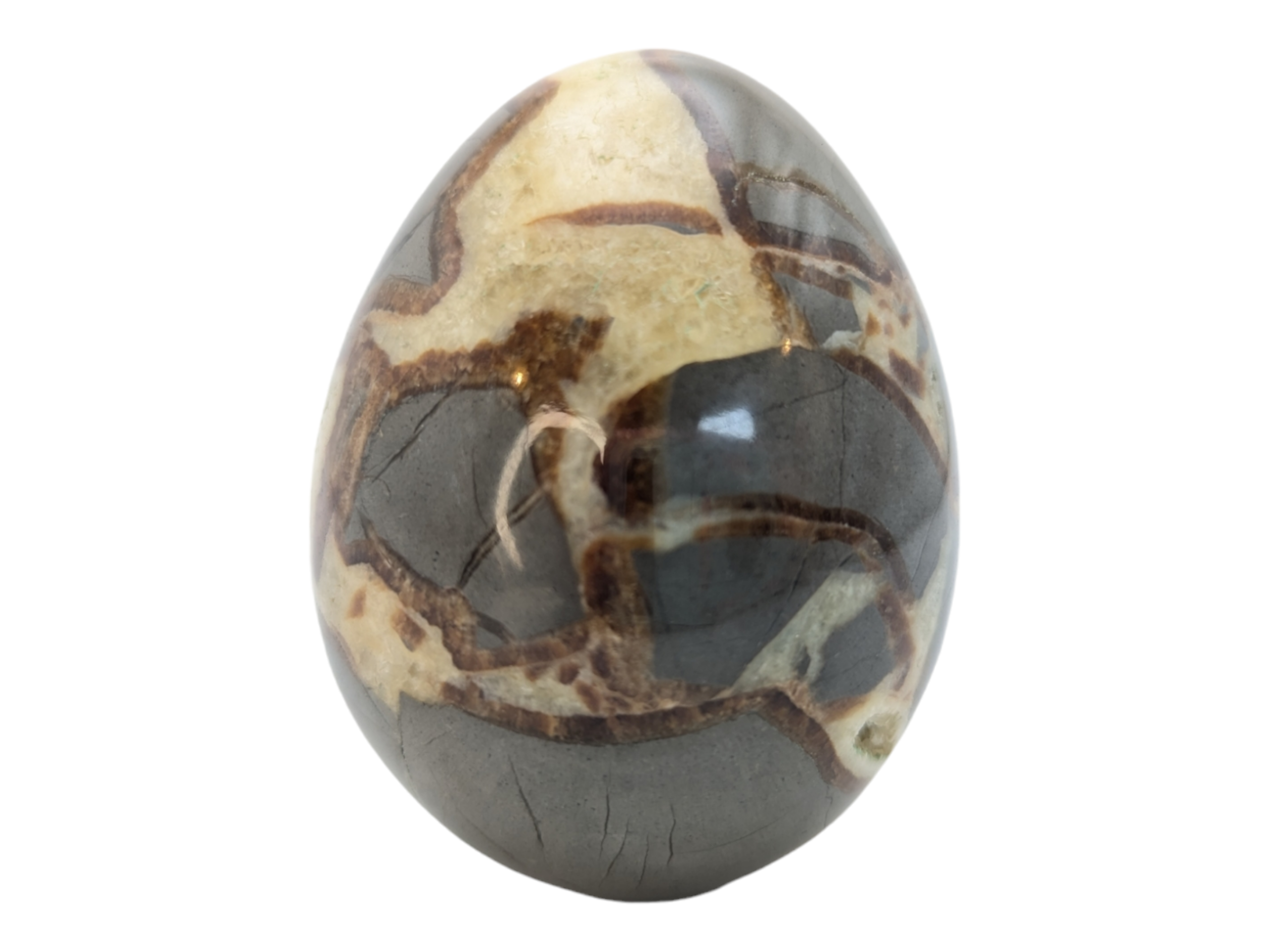 Utah Septarian Nodules Stone Egg - Image 4