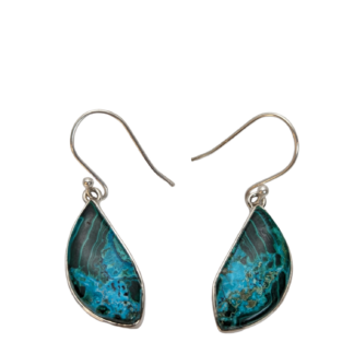 Chrysocolla-Malachite Earrings