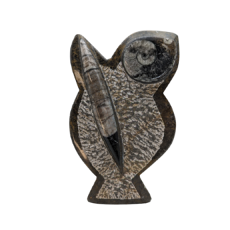 Orthoceras and Ammonite Fossil Sculpture