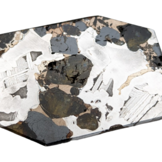 Seymchan Pallasite Meteorite