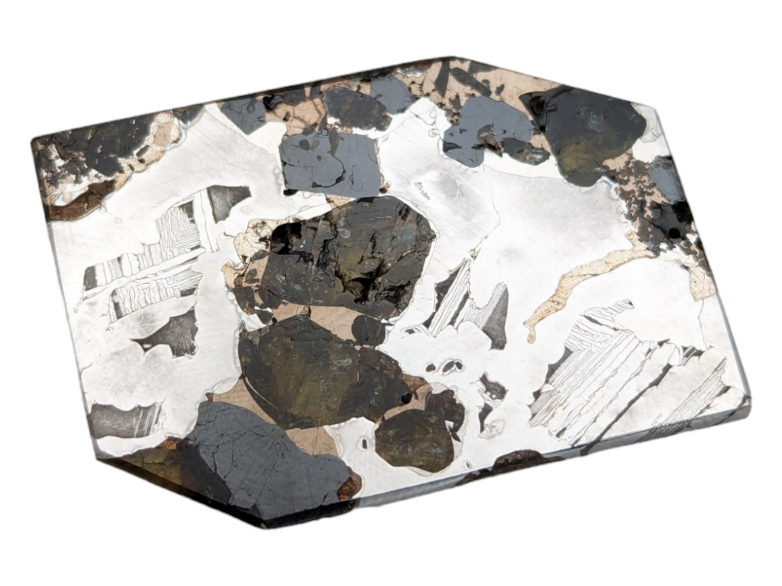 Seymchan Pallasite Meteorite