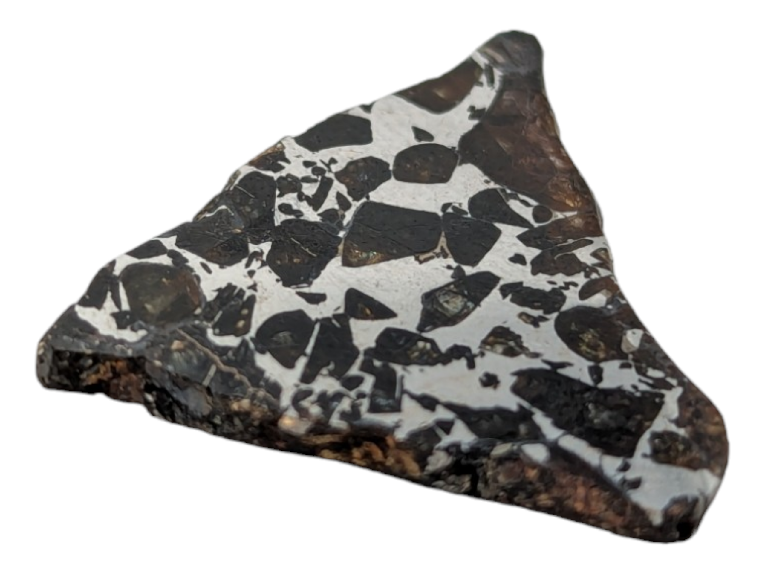 Seymchan Pallasite Meteorite - Image 2