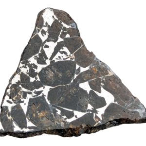 Seymchan Pallasite Meteorite