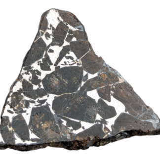 Seymchan Pallasite Meteorite