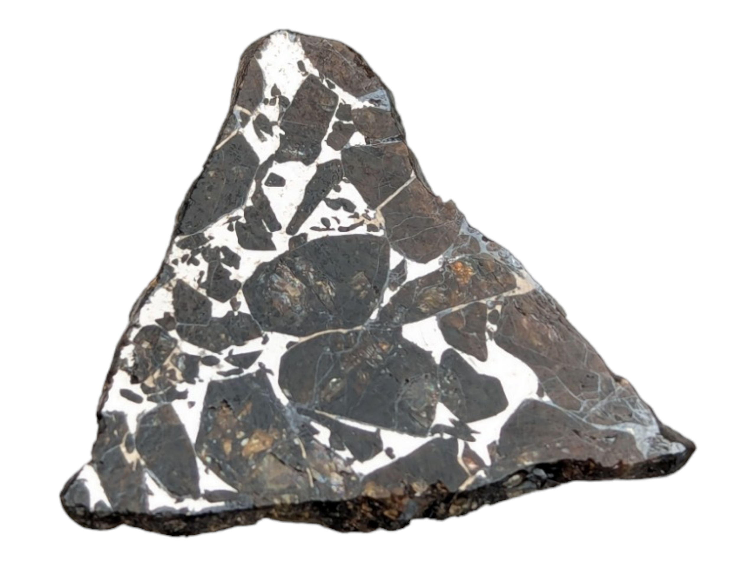 Seymchan Pallasite Meteorite