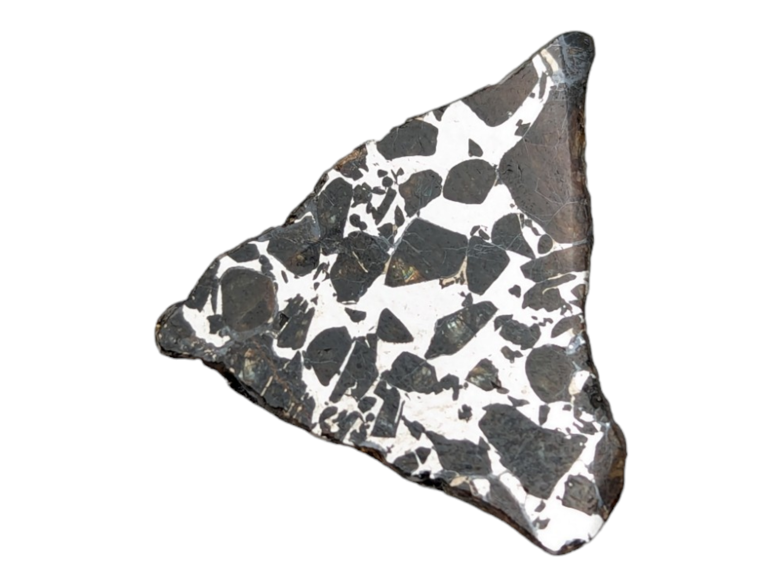 Seymchan Pallasite Meteorite - Image 3