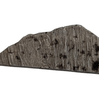 Muonionalusta Meteorite Scrap