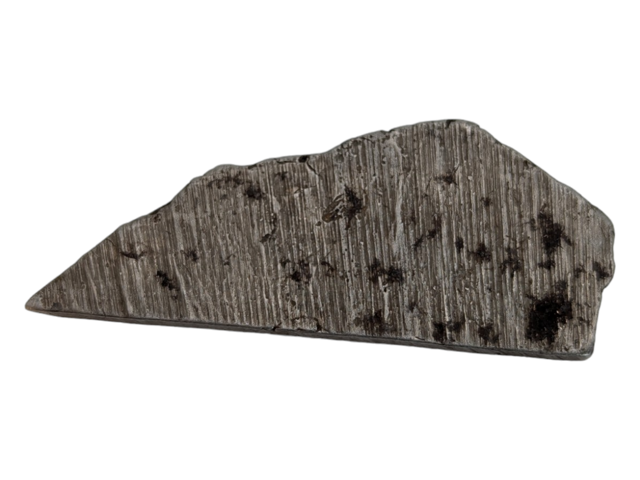 Muonionalusta Meteorite Scrap