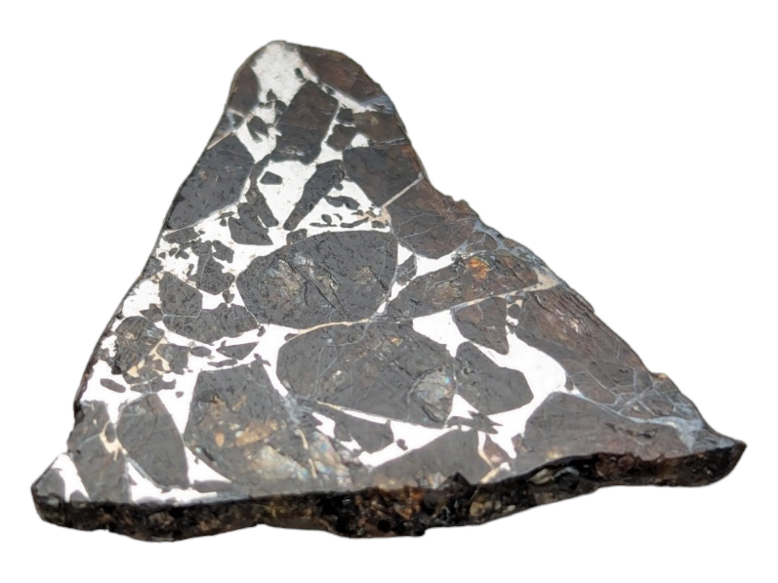 Seymchan Pallasite Meteorite - Image 4