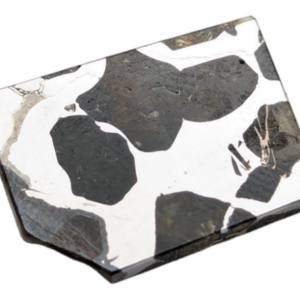 Seymchan Pallasite Meteorite Piece