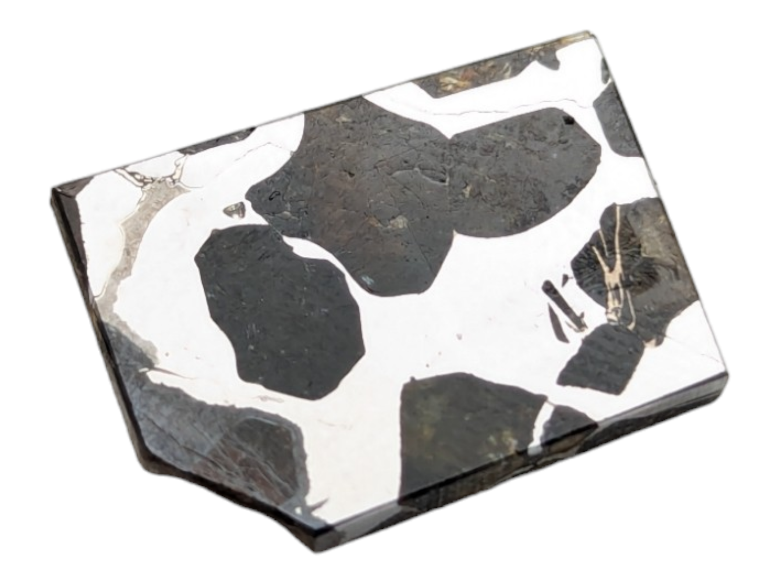 Seymchan Pallasite Meteorite Piece