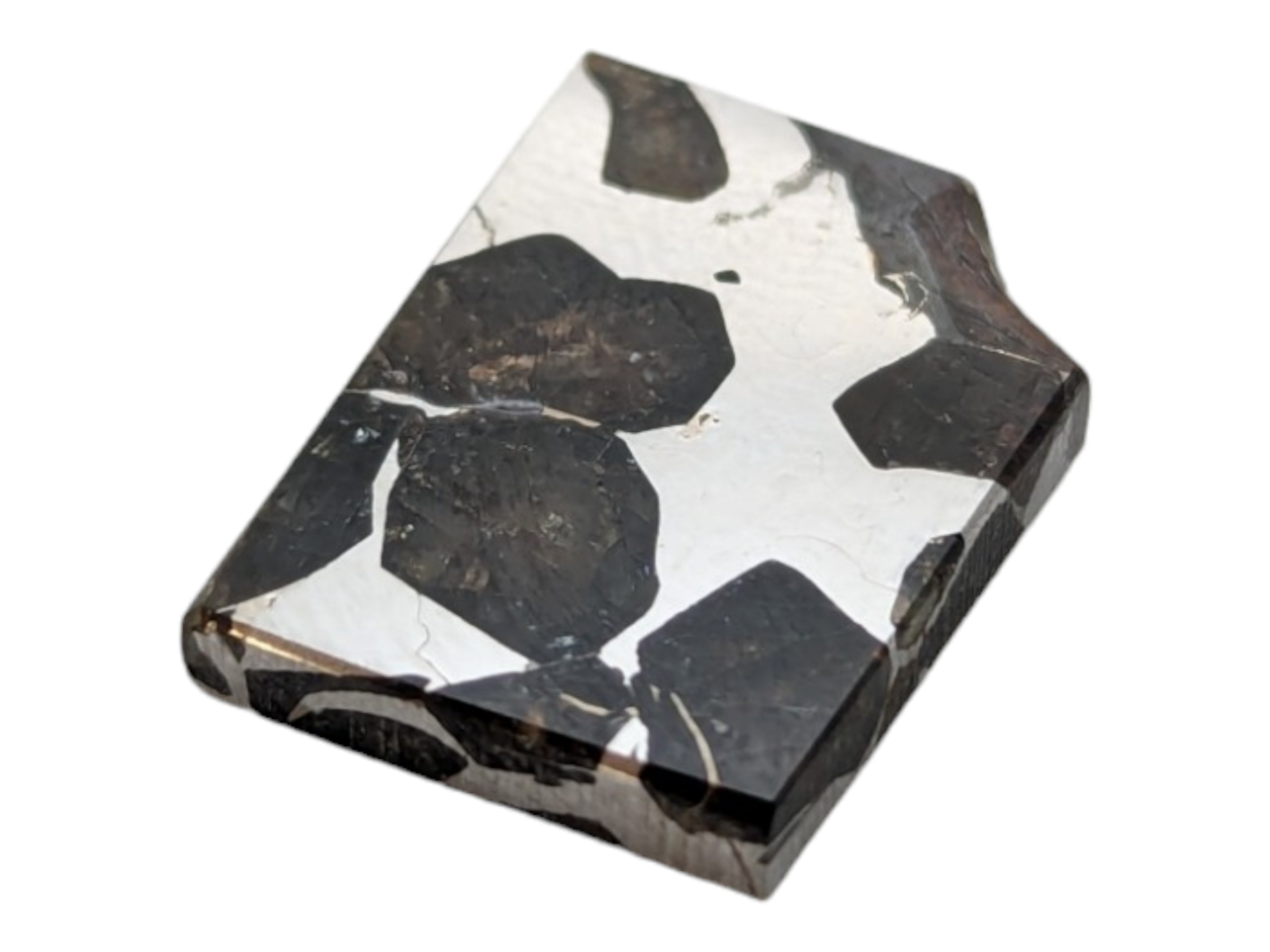 Seymchan Pallasite Meteorite Piece - Image 4