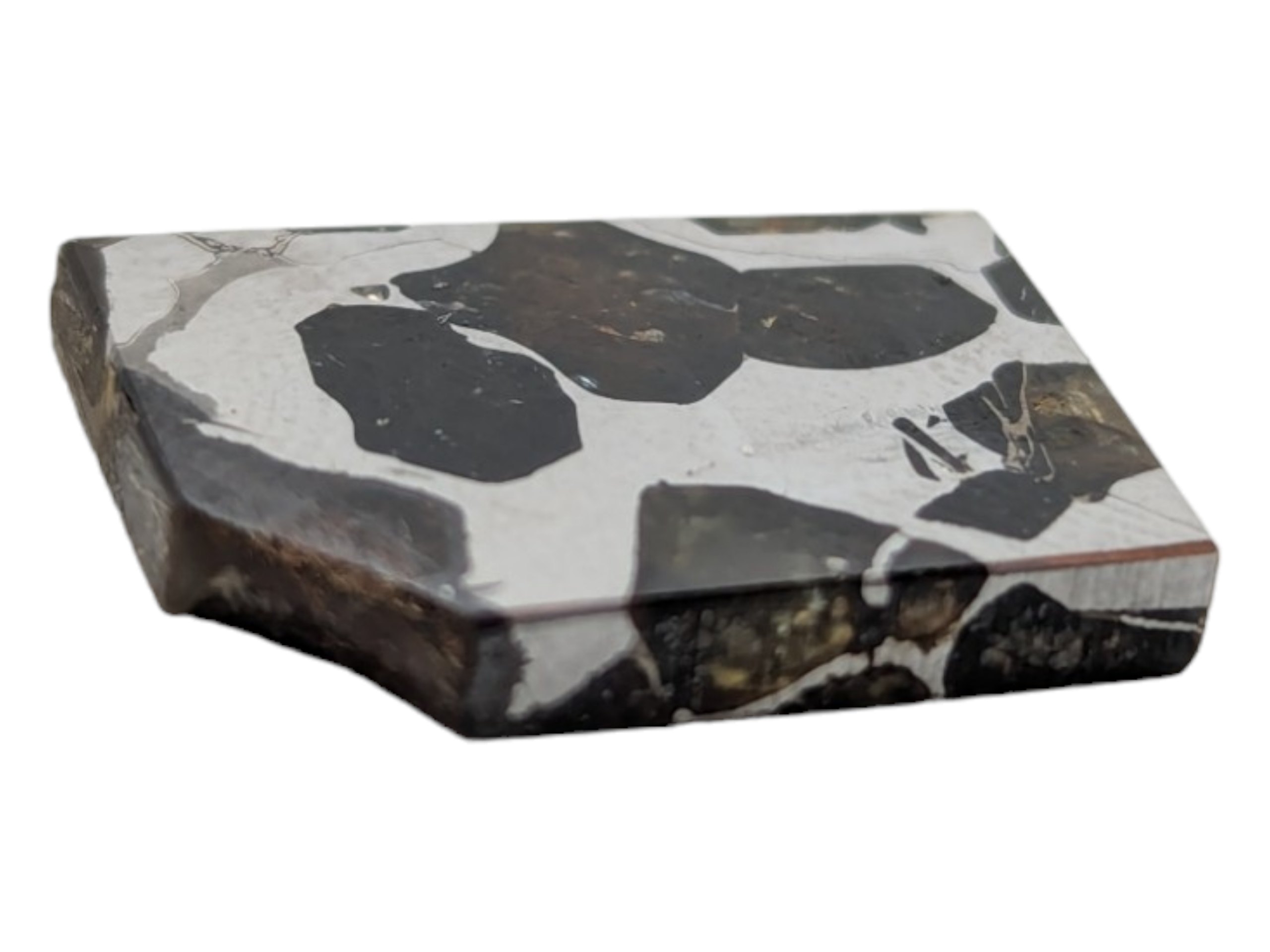 Seymchan Pallasite Meteorite Piece - Image 2