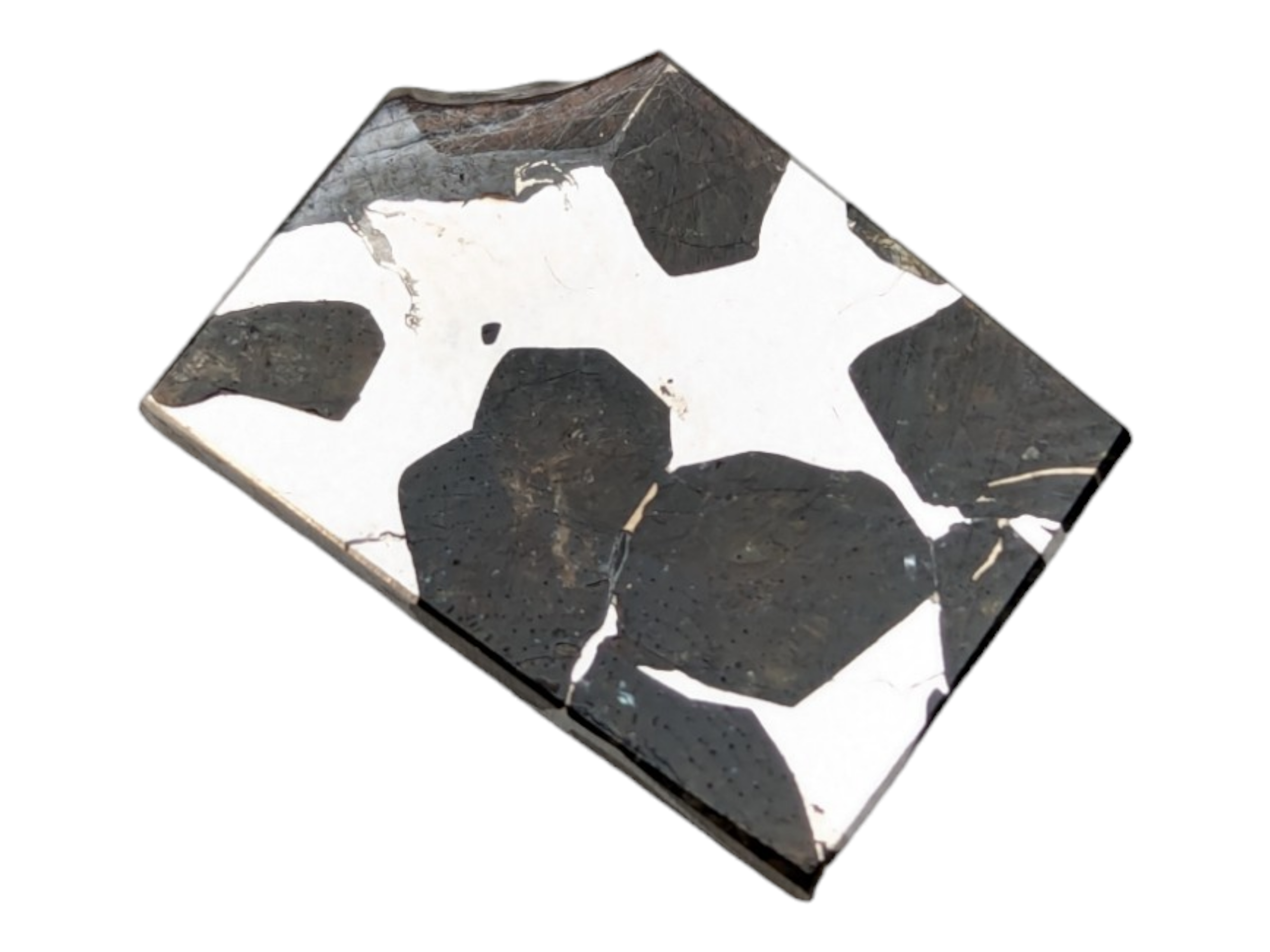 Seymchan Pallasite Meteorite Piece - Image 3