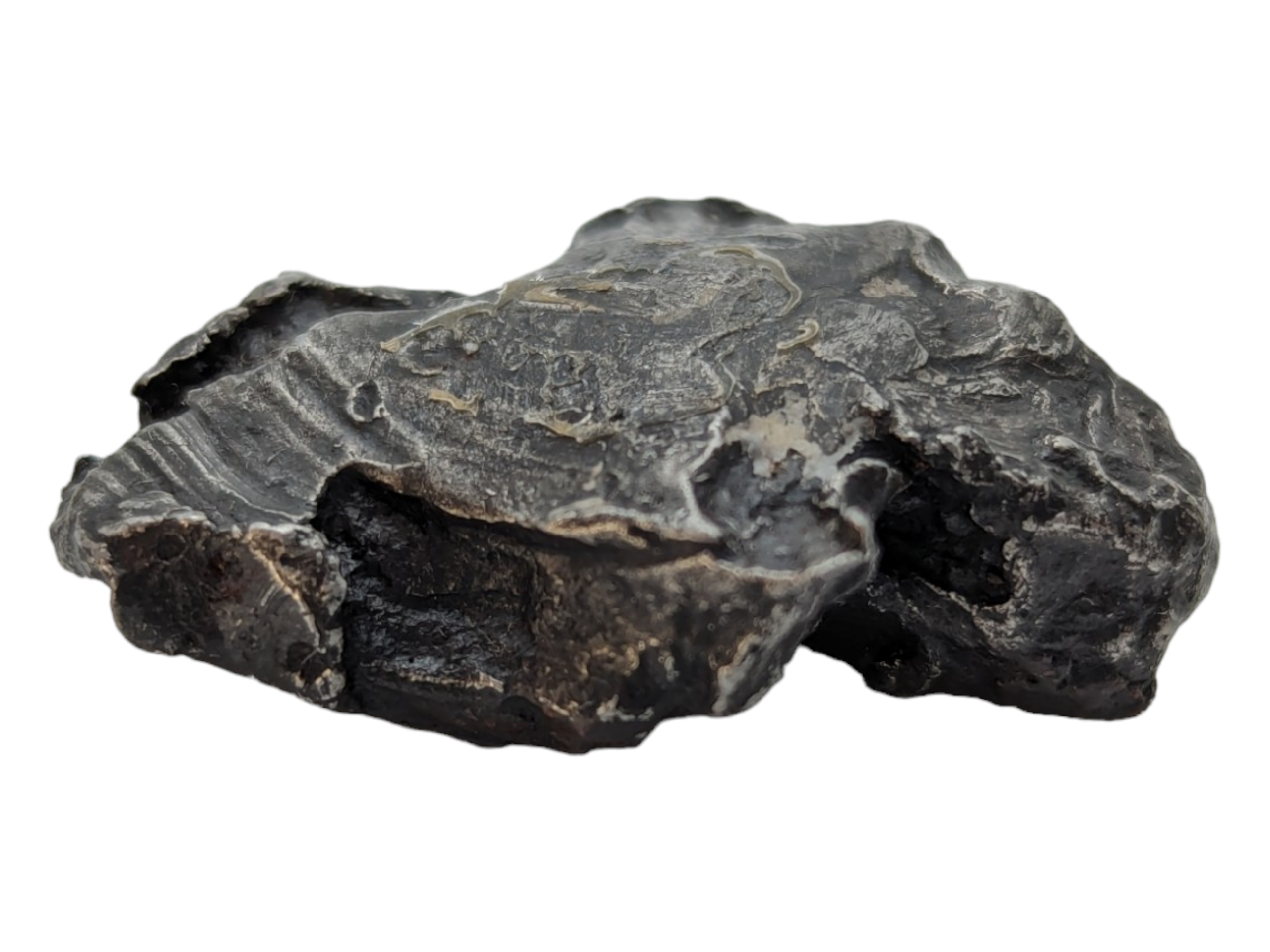 Sikhote-Alin Meteorite - Image 2