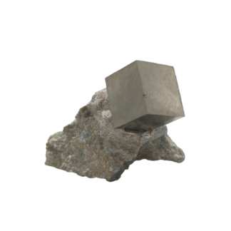 Pyrite Cube in Matrix - Spain
