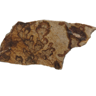 Dendrites on Sandstone