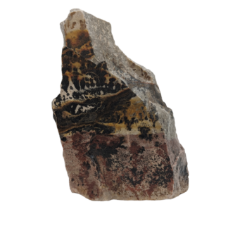 Dendrites on Sandstone