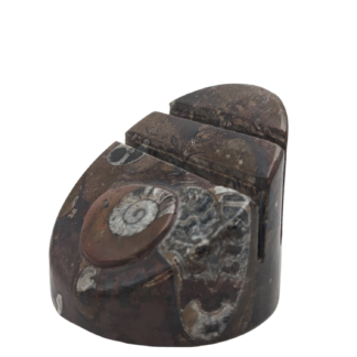 Ammonite Business Card Holder