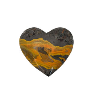 Bumble Bee Jasper Heart