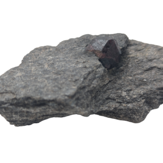 Alaskan Garnet in Matrix