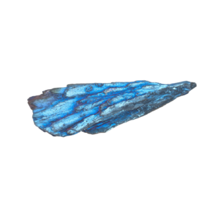 Kyanite Angel Wing