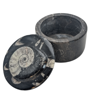 Ammonite Fossil Round Jewelry Box