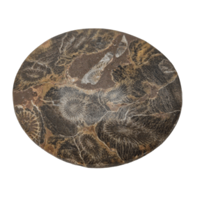 Petoskey Stone