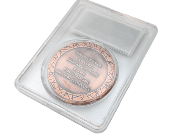 Bronze Muonionalusta Meteorite Coin - Image 3