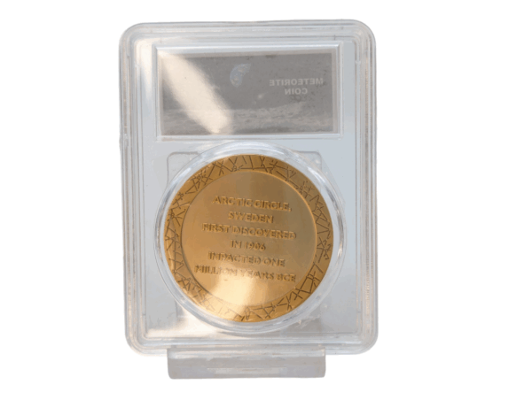Gold Muonionalusta Meteorite Coin - Image 4