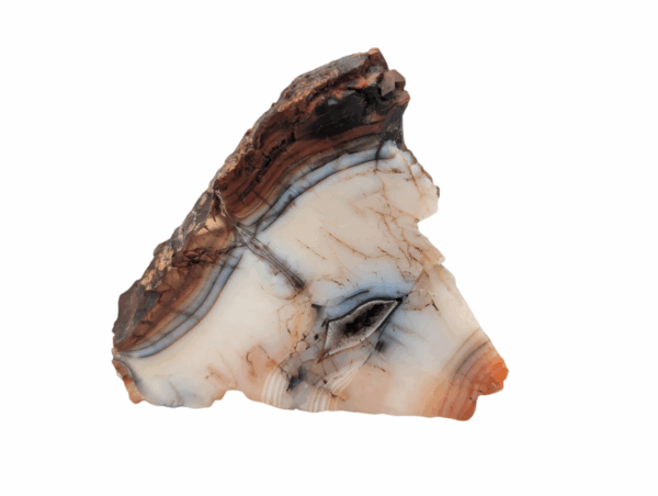 Raw Banded Carnelian Slice