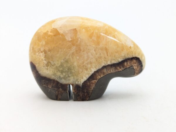 Septarian Bears - Image 6