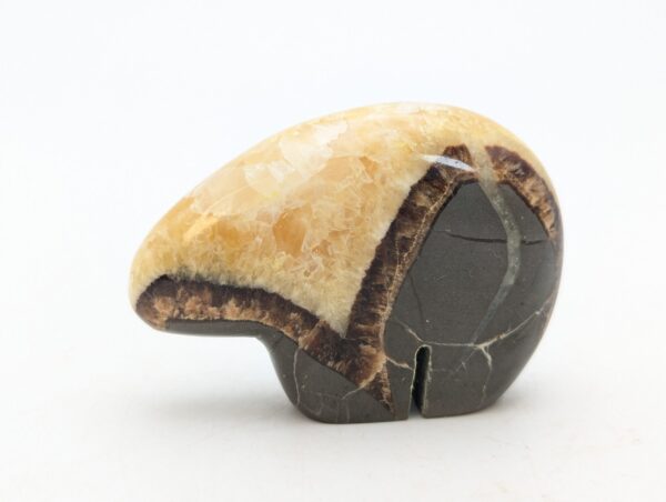 Septarian Bears - Image 5