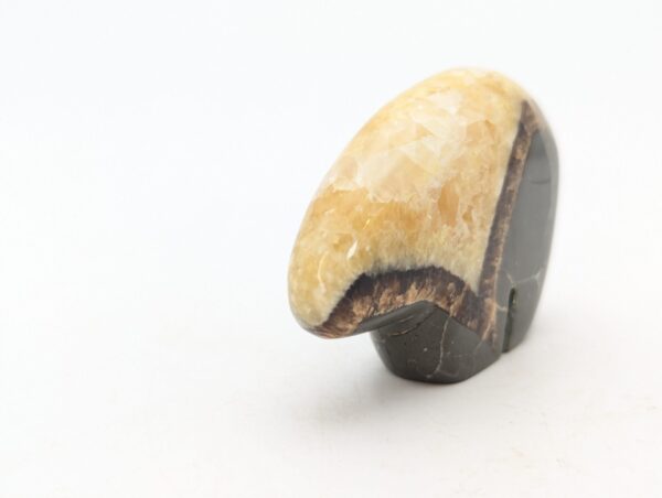 Septarian Bears - Image 7