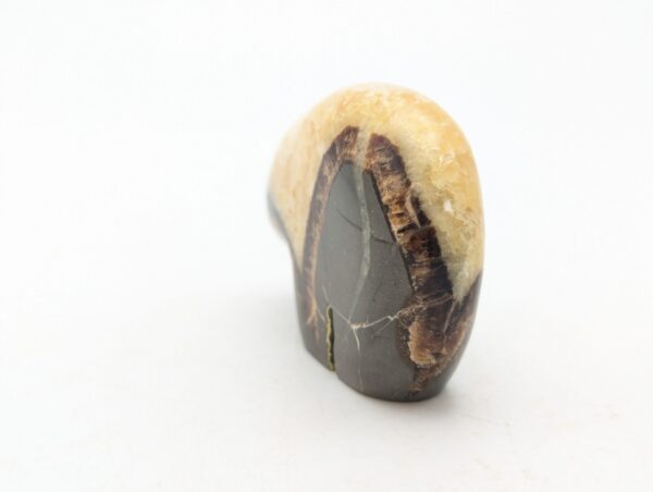 Septarian Bears - Image 8