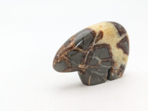 Septarian Bears - Image 3