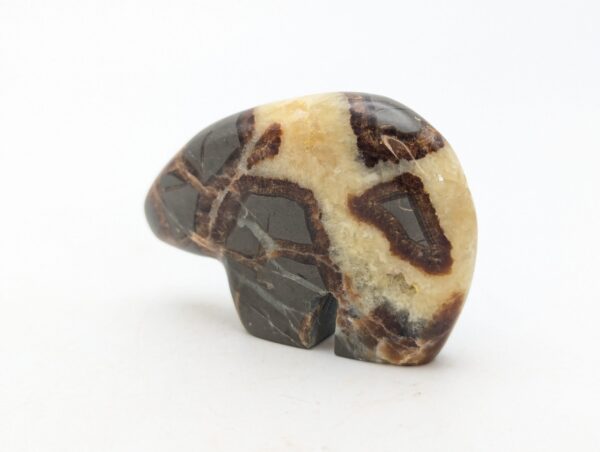 Septarian Bears - Image 4