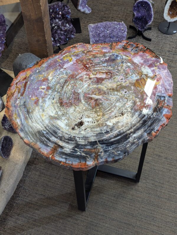 Petrified Wood Table