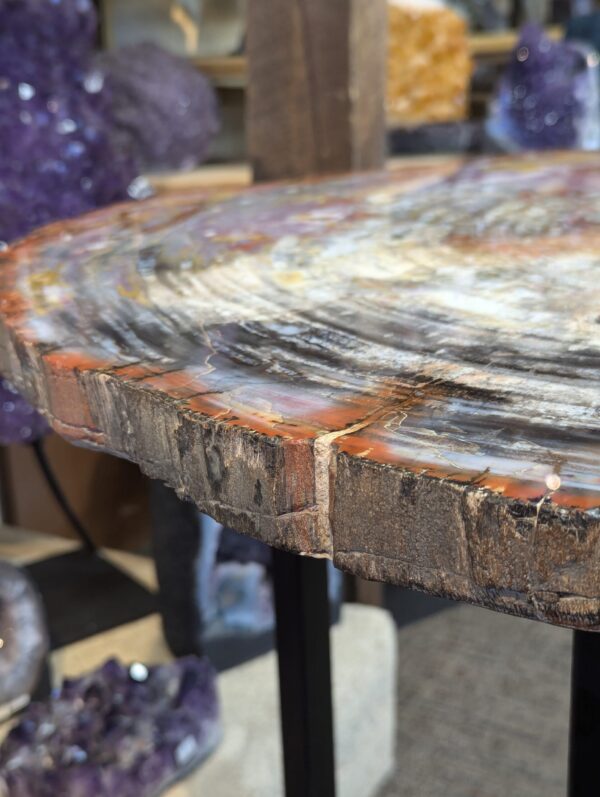 Petrified Wood Table - Image 5