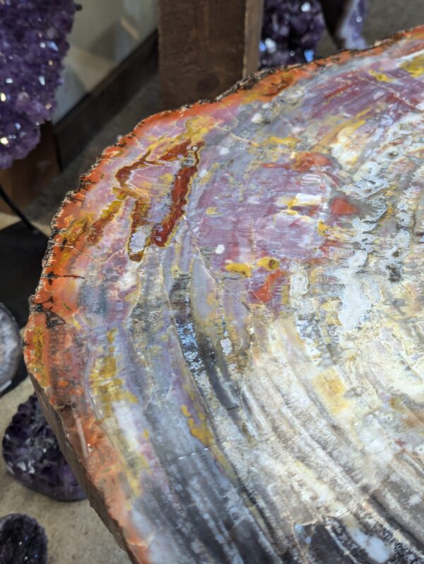 Petrified Wood Table - Image 6