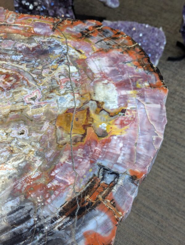 Petrified Wood Table - Image 12